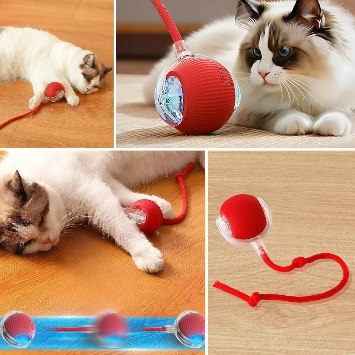Akıllı Kedi Oyuncağı | Şarjlı Otomatik Top, 360° Döner, Hareketli