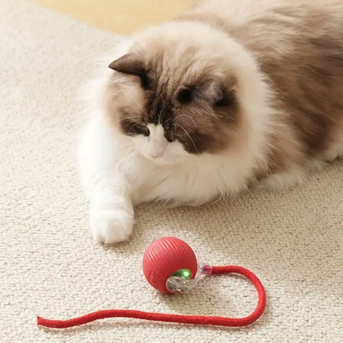 Akıllı Kedi Oyuncağı | Şarjlı Otomatik Top, 360° Döner, Hareketli