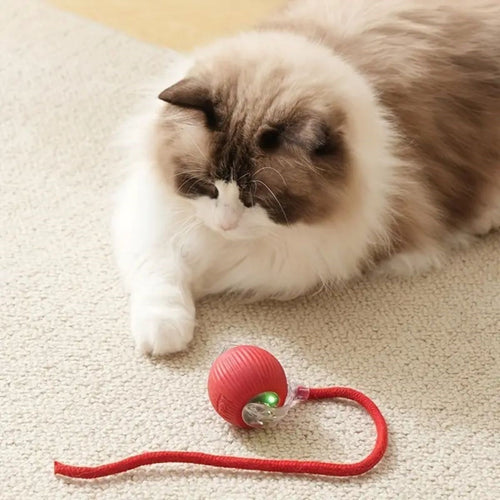 Akıllı Kedi Oyuncağı | Şarjlı Otomatik Top, 360° Döner, Hareketli