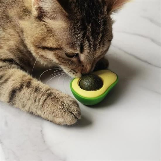Avokado Model Yapışkanlı Kedi Oyuncağı | Catnip İçerikli Yalanabilir Oyuncak