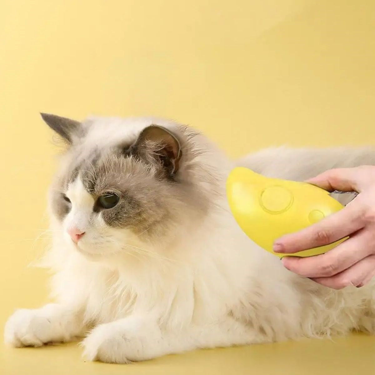 Buharlı Silikon Kedi Köpek Tarağı | Masajlı Yıkama Fırçası